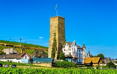 Fototapete bei efototapeten.de bestellen   