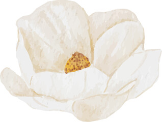 watercolor white magnolia flower and leaf bouquet elements