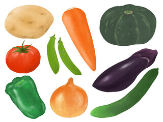 野菜リアルイラスト