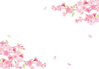 Fototapeta na wymiar 手描き水彩　桜のフレームイラスト　 