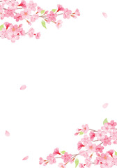 手描き水彩　桜のフレームイラスト　
