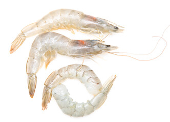 fresh white-legged shrimp on a white background