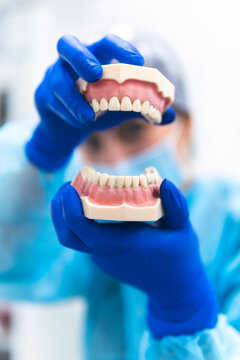 Hands of dentist with prosthetic teeth at clinic