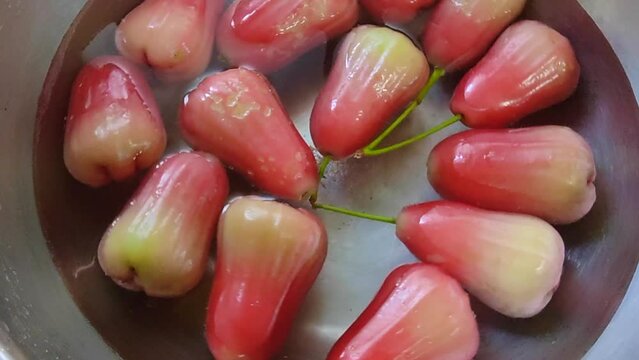 Fresh rose apple washed in sink