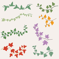 Simplicity ivy drawing flat design collection.