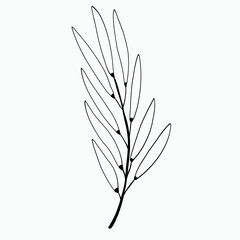 Simplicity floral freehand drawing flat design.