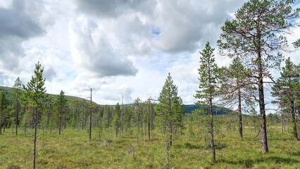 Obraz premium Lacs et chute d'eau dans le parc national de Fulufjället à la frontière entre la suède et la Norvège