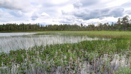 Fototapeta premium Lacs et chute d'eau dans le parc national de Fulufjället à la frontière entre la suède et la Norvège