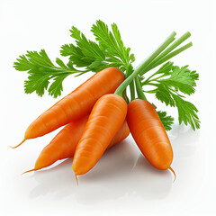Carrot Bunch Isolated, Organic Vegetable Crop, Fresh Carrot Bunch on White Background