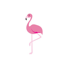 Fototapeta premium flamingo vector graphic element design