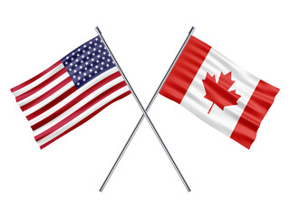 USA Friendship Flag 3d Illustration