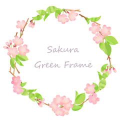 桜の新芽と花のリースフレームイラスト素材