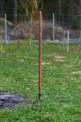 Pitchfork driven into the ground in the backyard garden. Selective focus.