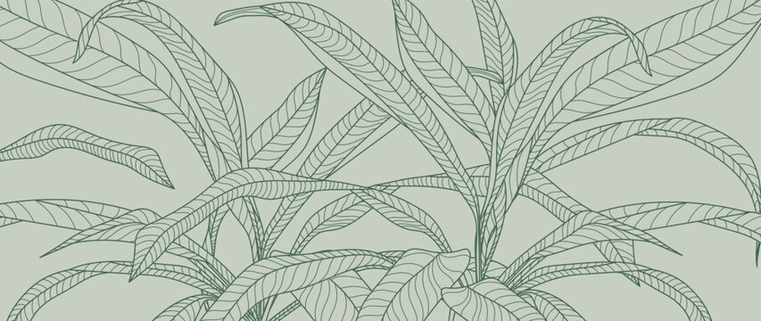 Botanical foliage line art background vector illustration. Tropical palm leaves drawing contour style pattern background. Design for wallpaper, home decor, packaging, print, poster, cover, banner.