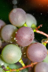 Grape background close-up. Organic green grapes, concept wine, crop and juice. Vertical photo