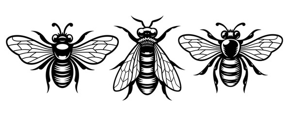 Set of black and white bees vector illustrations, this design can be used as a logo or for a honey label