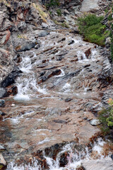 Mountainous rounded rapids washed by alpine water stream, tending down, sparse vegetation and moss on banks. Aosta valley, Italy (vertical shot)