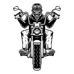 Vector illustration gorilla biker on a motorcycle on a white background © Harry Kasyanov