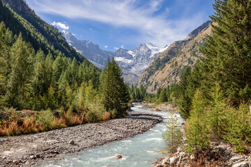 Fototapeta na wymiar Stormy Alpine mountain water stream runs along gorge rapids, covered with evergreen pine forest in Gran Paradiso National Park, framed by steep slopes. Aosta, Italy