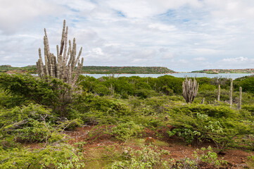 Panoramic view of the St. Joris Bay on the caribbean island Curacao.