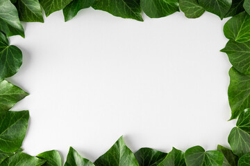 Naklejka premium Frame made of green leaves on white background. Creative layout. Flat lay. Nature concept. Top view