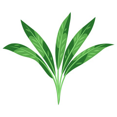 Illustration of stylized palm leaf. Image of tropical foliage and plant.