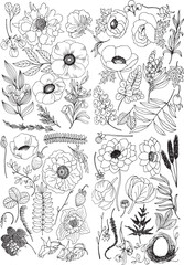 Set of plant and floral elements, doodle illustration 2
