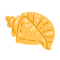 Illustration of sea shell. Natural icon. Marine cute decorative item.