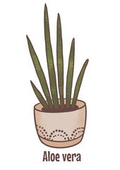 Aloe Vera house plant. Hand drawn digital illustration with green flower