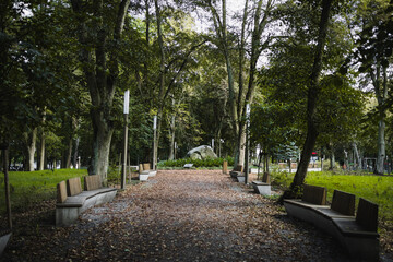 Goleni&oacute;w (Gollnow)  &ndash; green park and memory stone.