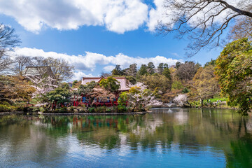 Fototapeta na wymiar 桜咲く井の頭池と井の頭弁財天の風景（2022年3月）