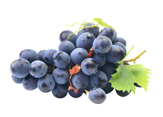 Bunch of grapes isolated