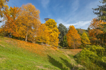 BIELLA, ITALY, OCTOBER 10, 2022 - View of the Natural reserve of the Burcina "Felice Piacenza" Park in autumn,  province of Biella, Piedmont, Italy.