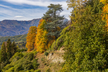 Naklejka premium View of the Natural reserve of the Burcina 