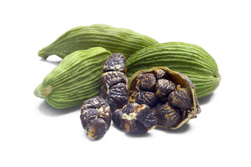 Whole green Cardamom, cardamon or cardamum (dried fruits of Elettaria cardamomum) with halved pod and seeds isolated png