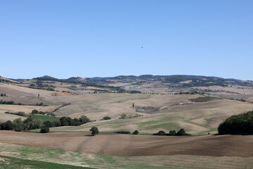 Obraz premium The rural landscape near Pienza in Tuscany. Italy