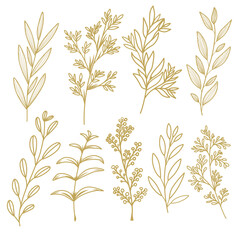 Naklejka premium Branches sketch set. Hand drawn graphics of plants. Vector illustration of differents branches isolated on white background. 