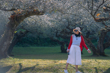 Naklejka premium A woman wearing a red top and straw hat is happy with nature's beautiful Chinese plum Trees, Japanese apricot, Prunus mume, Rosaceae, Japanese Bayberry, and Myrica Rubra in Thailand.