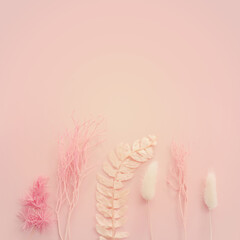 Fototapeta na wymiar Top view image of pink dry flowers over pastel background .Flat lay