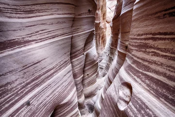 Fototapeten Zebra Canyon © Fyle