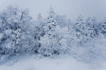 White Haven