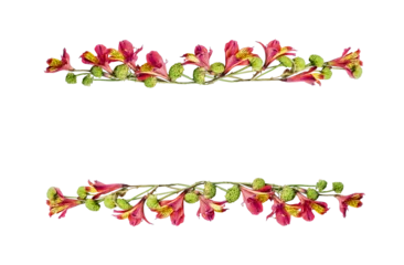 Rollo Beautiful frame of pink flowers and green petals , isolated on transparent background © VICUSCHKA