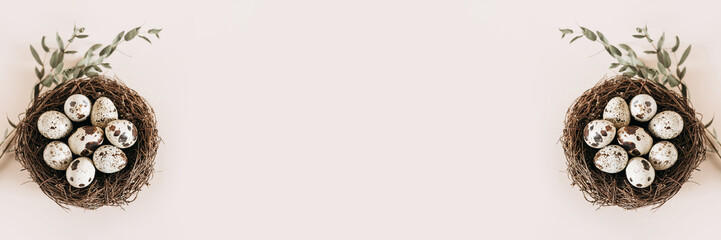 Obraz premium Quail eggs in nest on pastel background. Banner. Copy space.