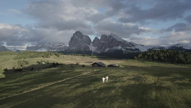 Alpi di suisi