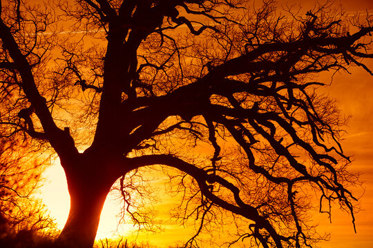 The cascade of Gujuli (or Goiuri) is a vertical jump of over 100 m in height that has the Oiardo stream near the town of Gujuli, in the town of Urcabustaiz in the province of &Atilde;lav