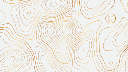 Fototapeta na wymiar Abstract wave lines on white background. Luxury golden wave lines of topographic design. Vector contour illustration.