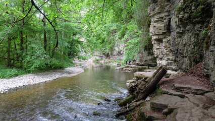 Fluss im Schwarzwald