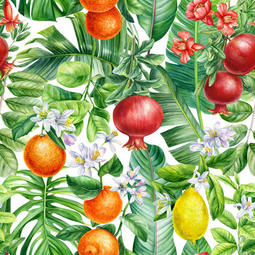 Citrus, pomegranate fruit and flowers, tropical background, watercolor jungle. Floral Seamless pattern 