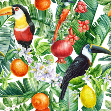 Birds, Palm leaves, pomegranate fruit and flowers, tropical background, watercolor jungle. Floral Seamless pattern 
