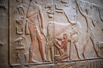 Hieroglyphics from some temple of Egypt